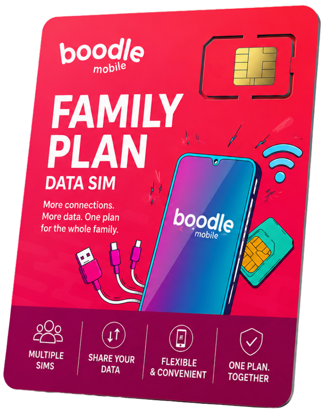 Family Plan SIM